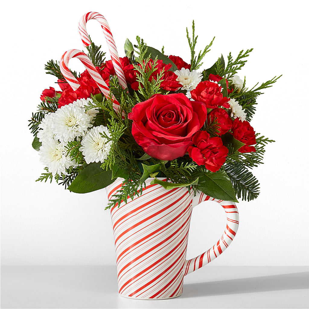 Peppermint Swirl Mug – TIM'S TREEHOUSE NURSERY & FLORAL, Sutherlin OR