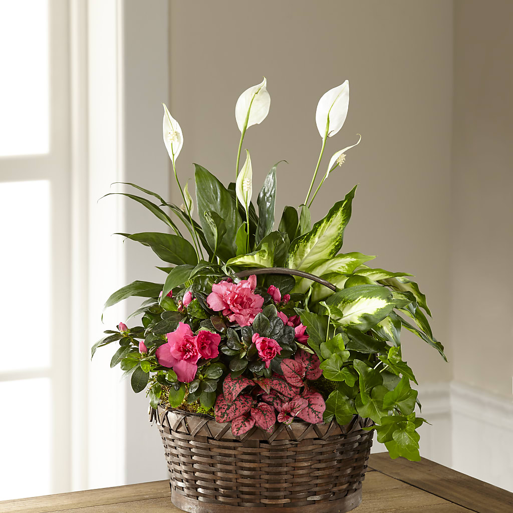 Dream in Pink Dishgarden – TIM'S TREEHOUSE NURSERY & FLORAL, Sutherlin OR