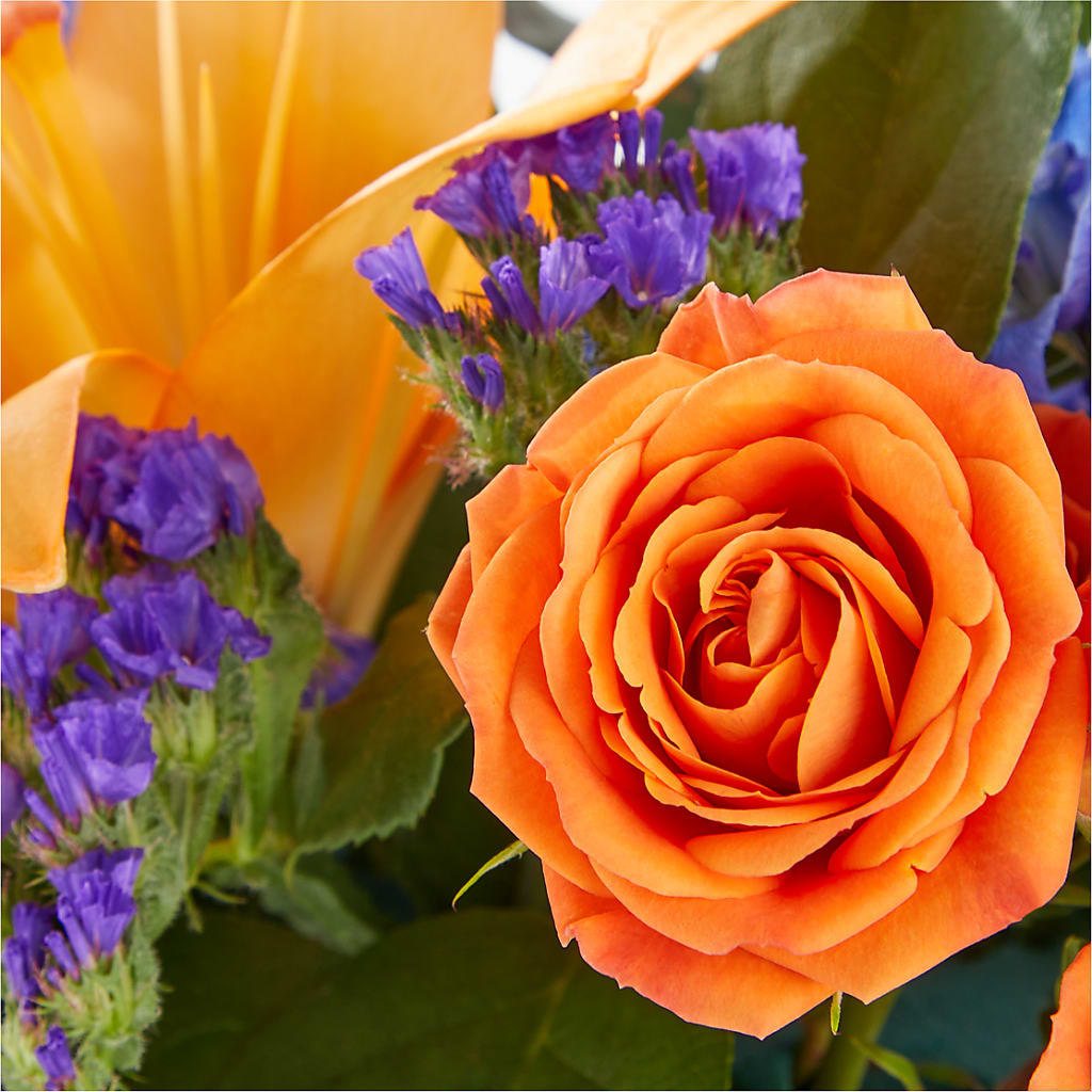 Radiant Citrus Box Bouquet – TIM'S TREEHOUSE NURSERY & FLORAL, Sutherlin OR