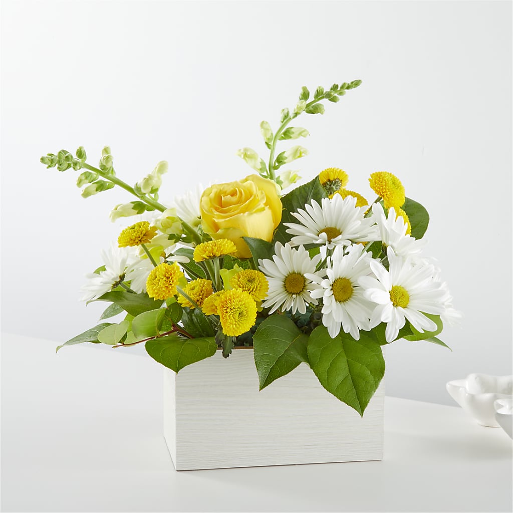Sun Salutation Box Bouquet – TIM'S TREEHOUSE NURSERY & FLORAL, Sutherlin OR