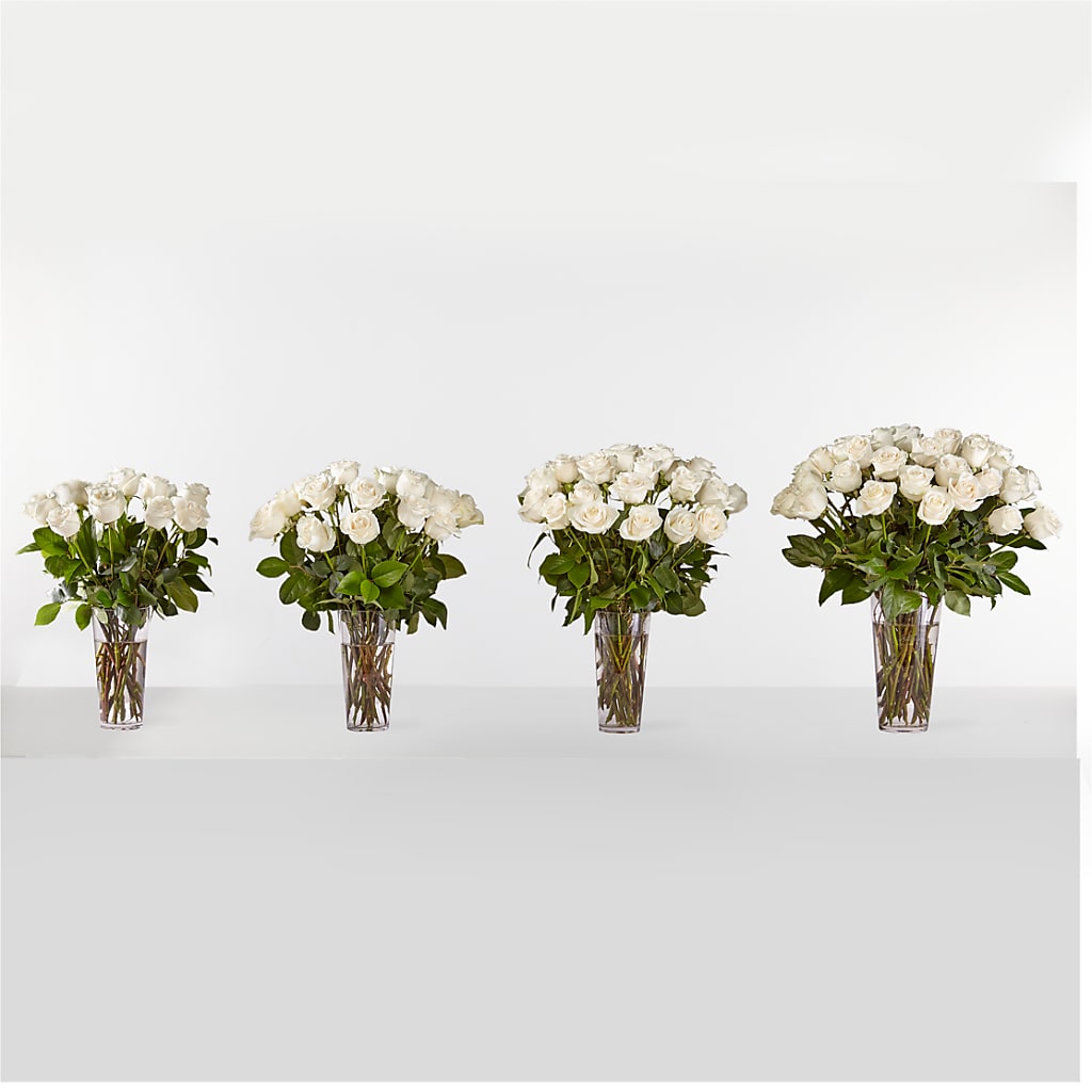 Long Stem White Rose Bouquet – TIM'S TREEHOUSE NURSERY & FLORAL, Sutherlin OR