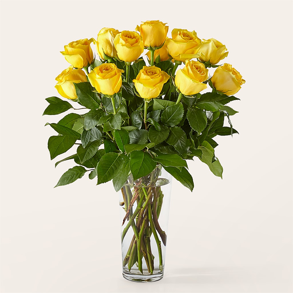 Long Stem Yellow Rose Bouquet – TIM'S TREEHOUSE NURSERY & FLORAL, Sutherlin OR