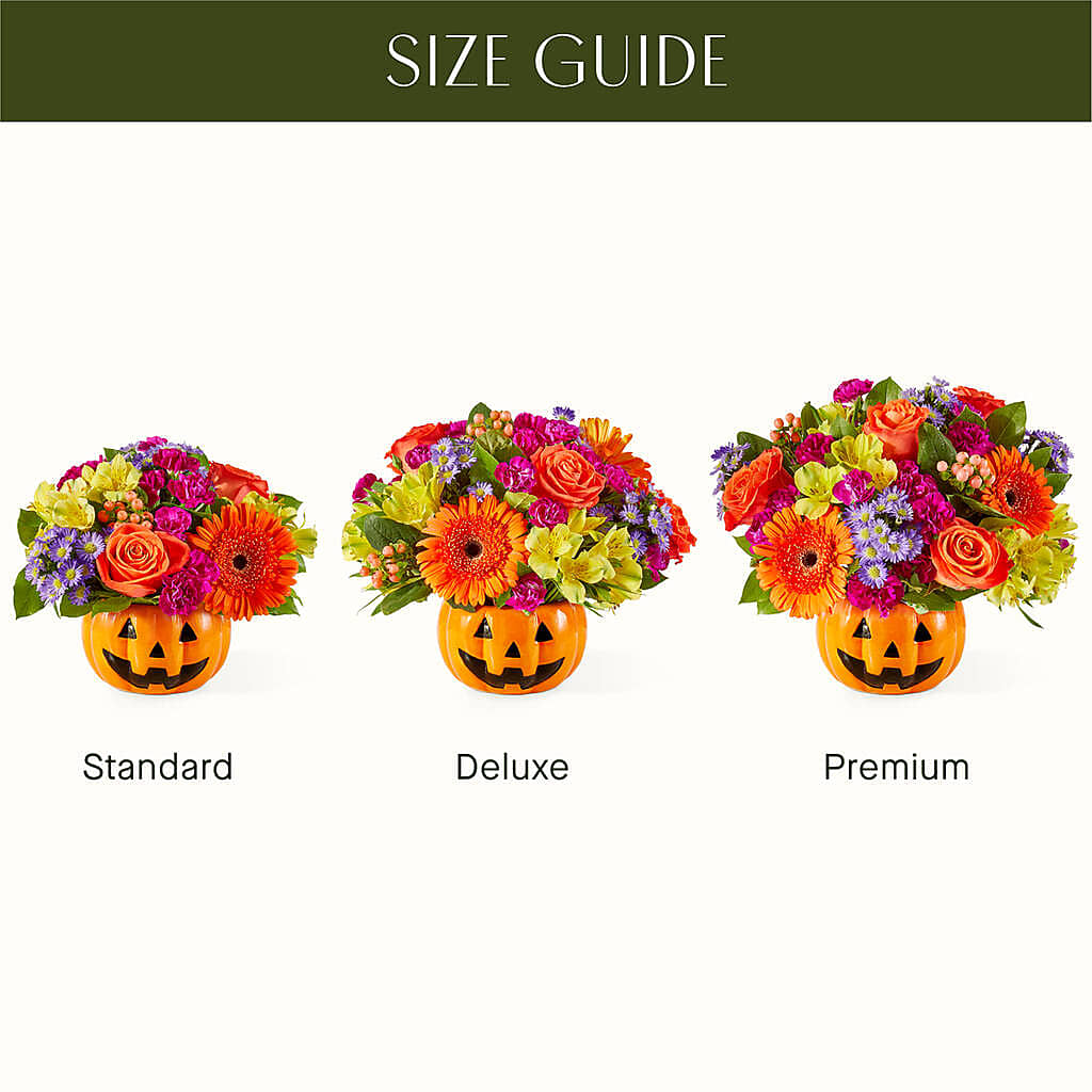Tricks & Treats Pumpkin – TIM'S TREEHOUSE NURSERY & FLORAL, Sutherlin OR