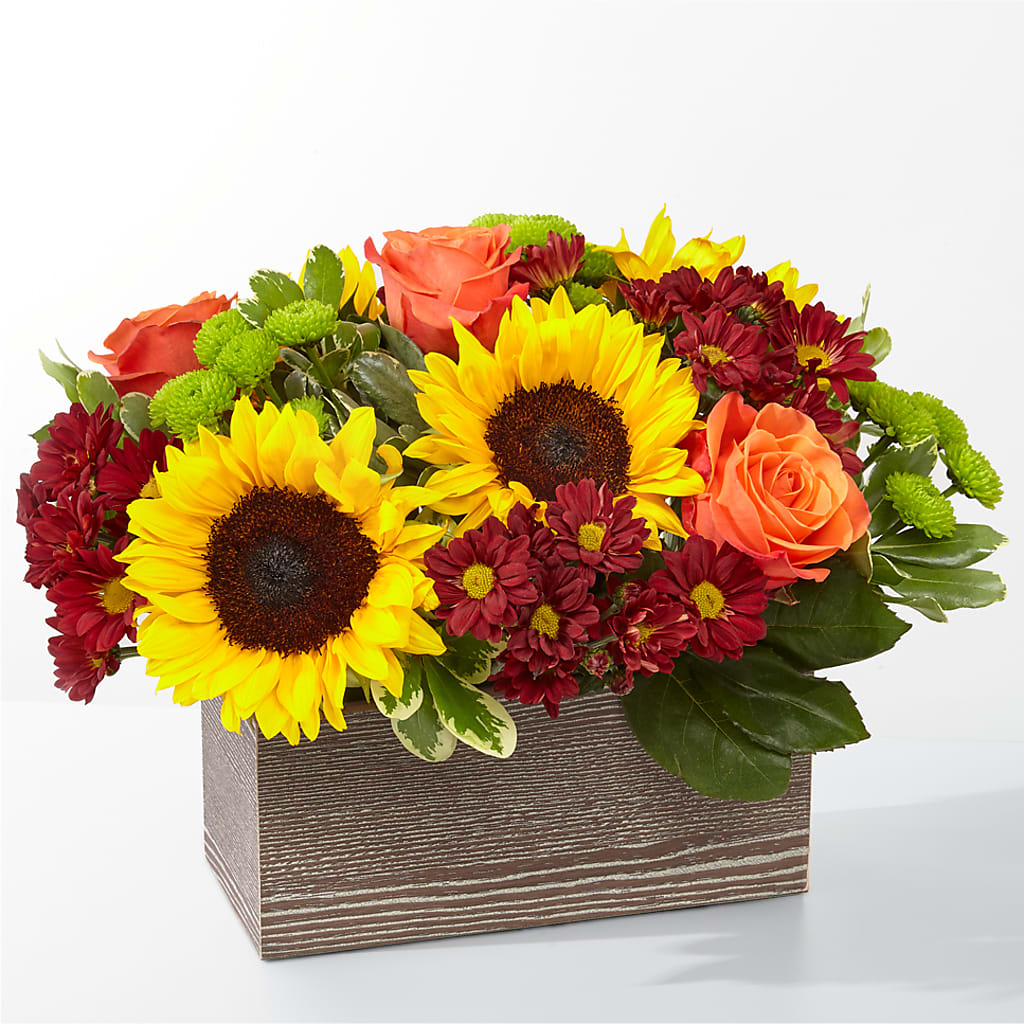Happy Harvest Garden – TIM'S TREEHOUSE NURSERY & FLORAL, Sutherlin OR