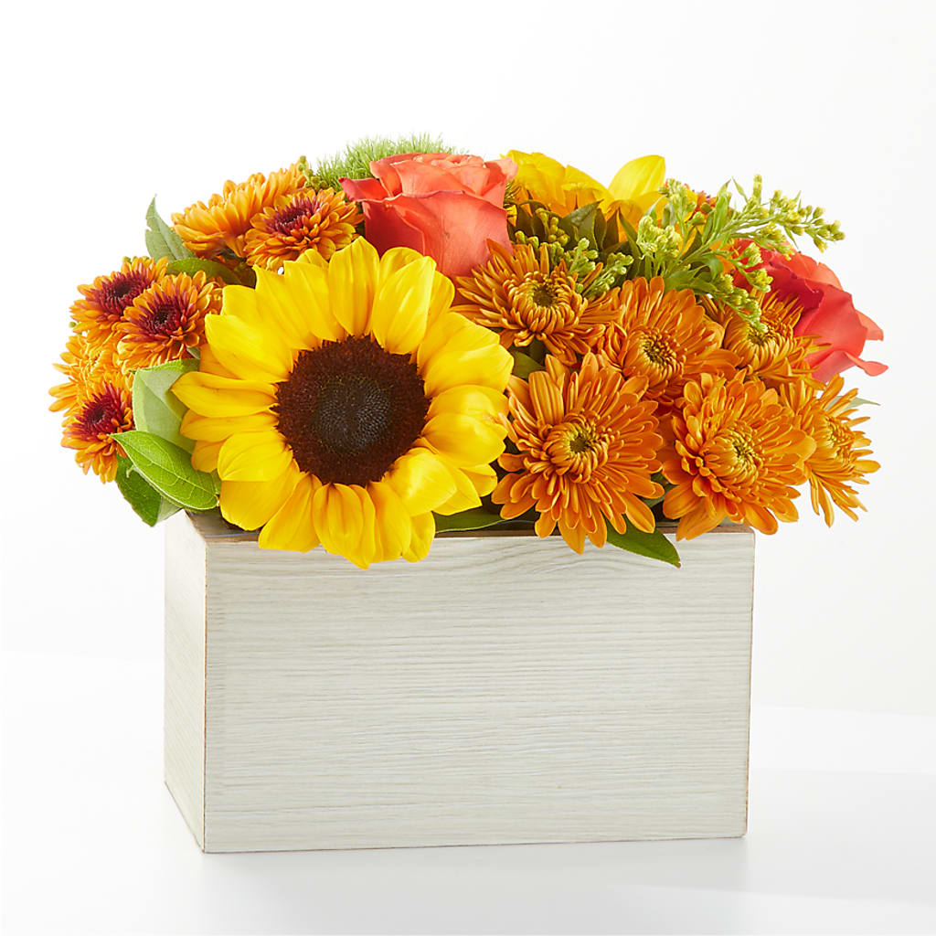 Farmer’s Market Stroll Bouquet – TIM'S TREEHOUSE NURSERY & FLORAL, Sutherlin OR