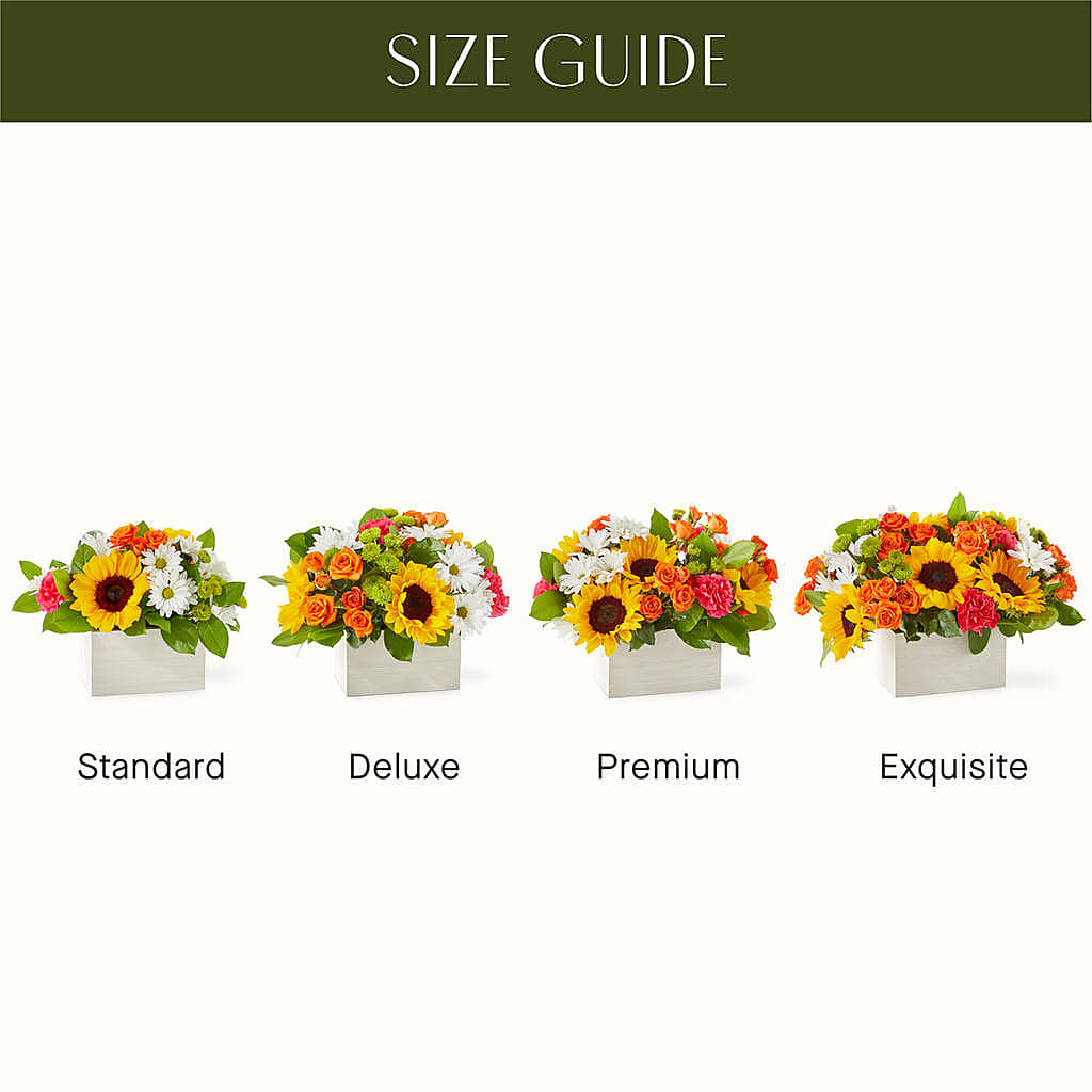 Sun-drenched Blooms Box Bouquet – TIM'S TREEHOUSE NURSERY & FLORAL, Sutherlin OR