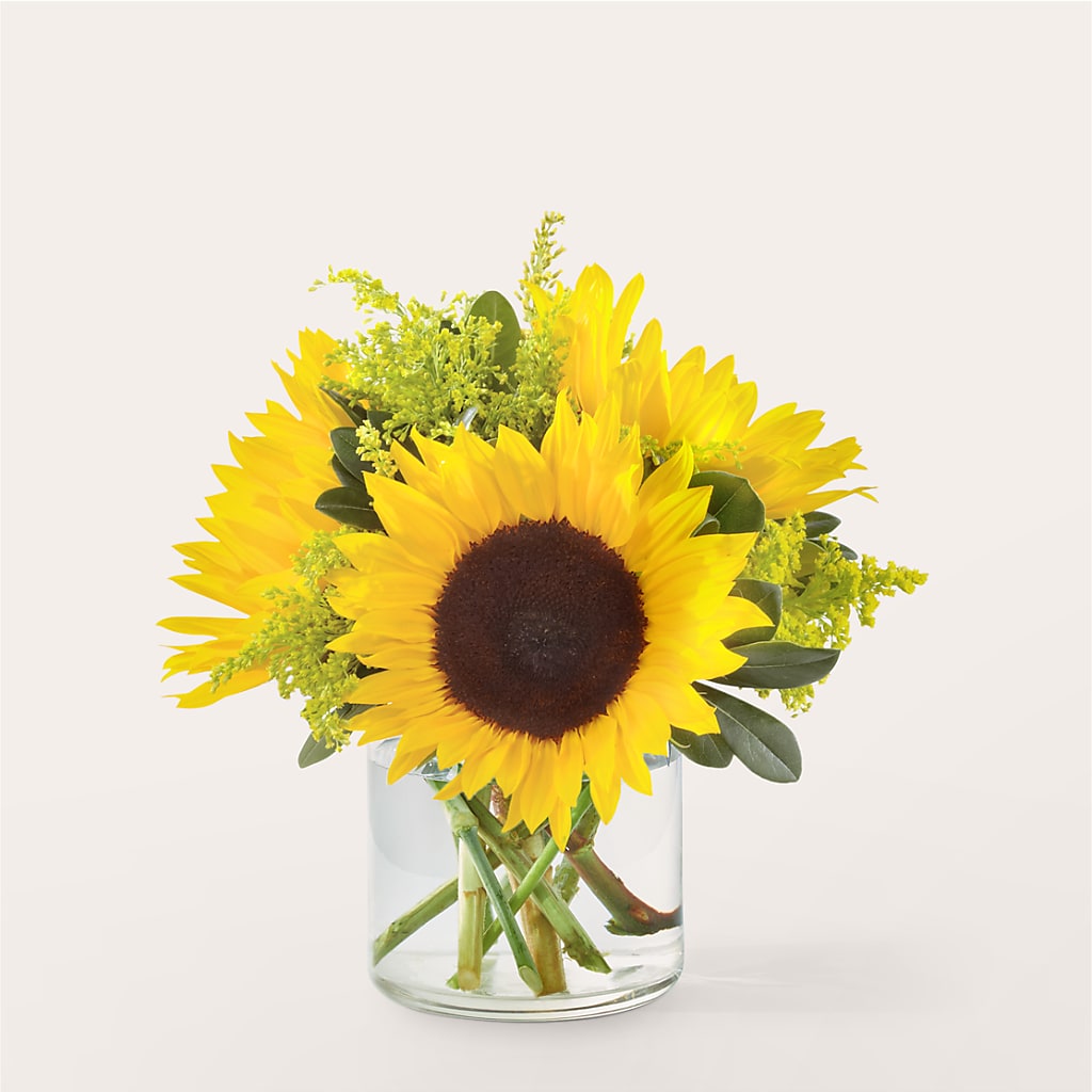 Beaming Sunflower Bouquet – TIM'S TREEHOUSE NURSERY & FLORAL, Sutherlin OR