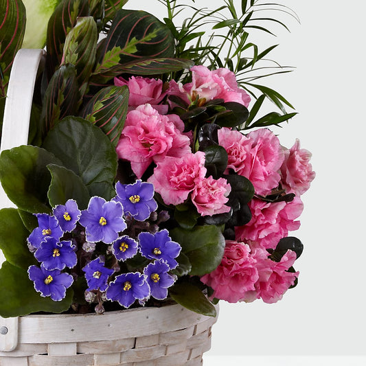 Peaceful Garden Planter – TIM'S TREEHOUSE NURSERY & FLORAL, Sutherlin OR