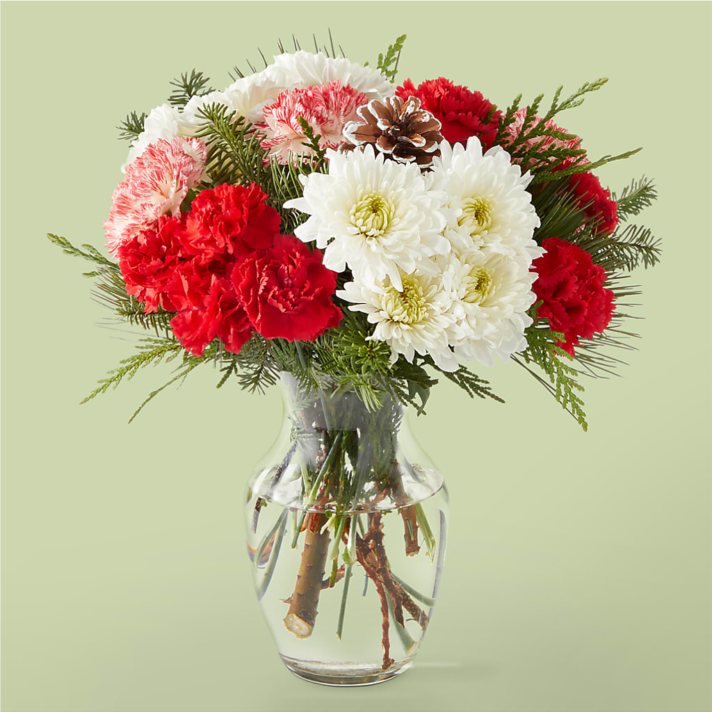 Candy Cane Lane Bouquet – TIM'S TREEHOUSE NURSERY & FLORAL, Sutherlin OR