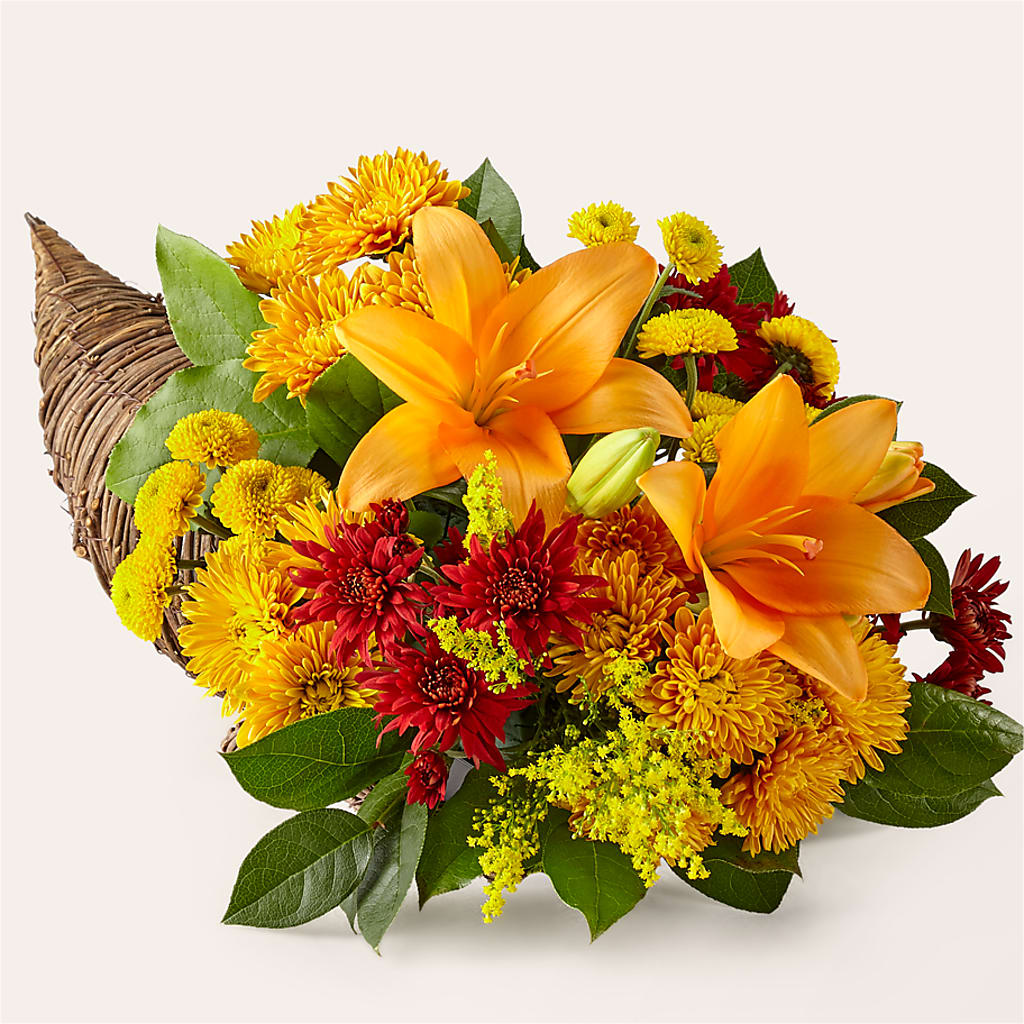 Feast of Color Cornucopia – TIM'S TREEHOUSE NURSERY & FLORAL, Sutherlin OR