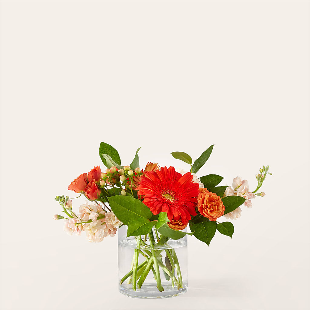 Paloma Please Bouquet – TIM'S TREEHOUSE NURSERY & FLORAL, Sutherlin OR