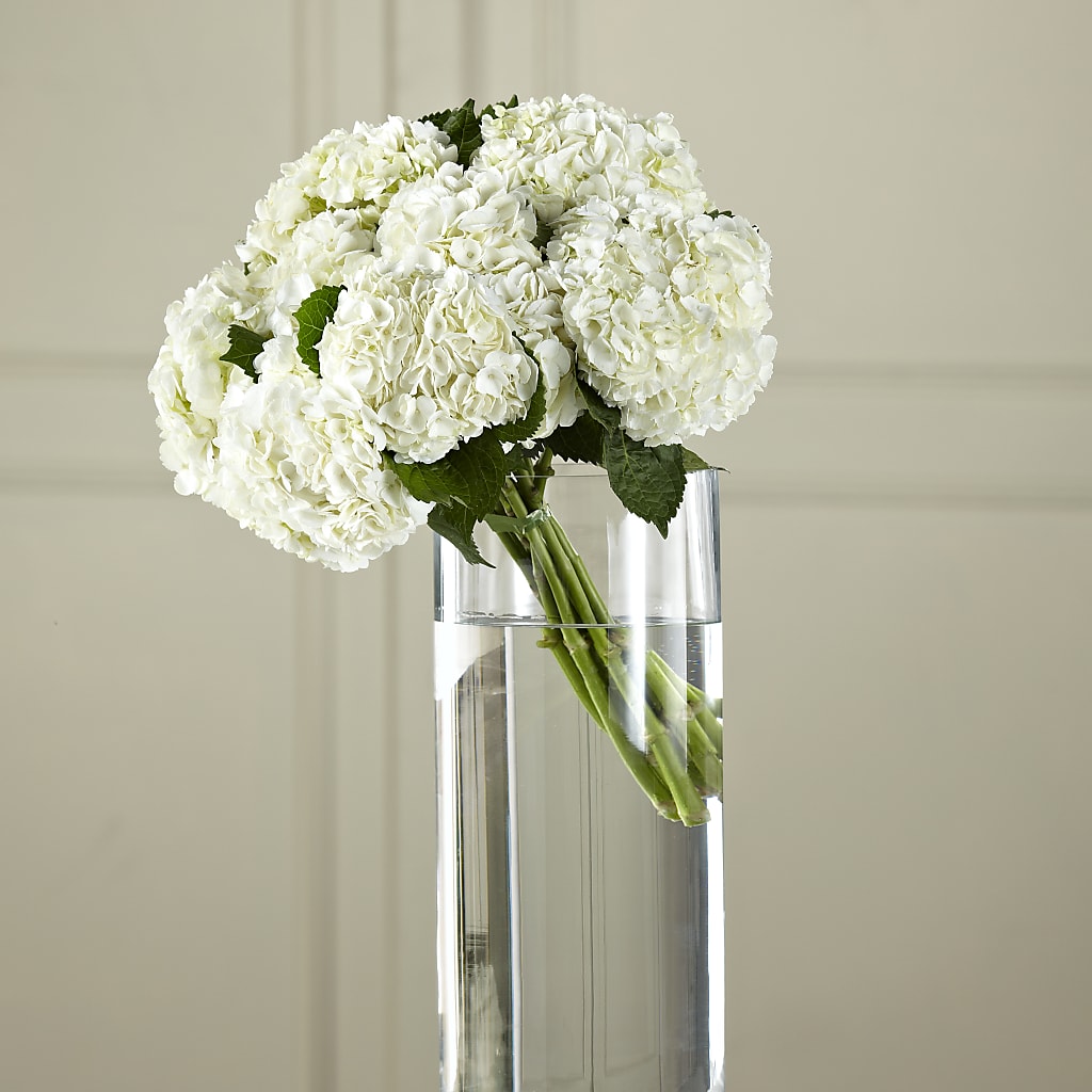 White Hydrangea Hand-Tied Bouquet – TIM'S TREEHOUSE NURSERY & FLORAL, Sutherlin OR