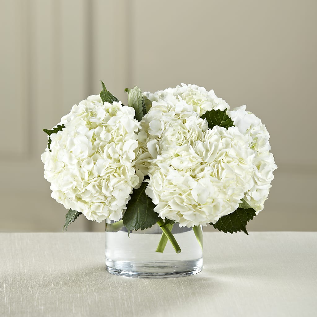 White Hydrangea Bouquet – TIM'S TREEHOUSE NURSERY & FLORAL, Sutherlin OR