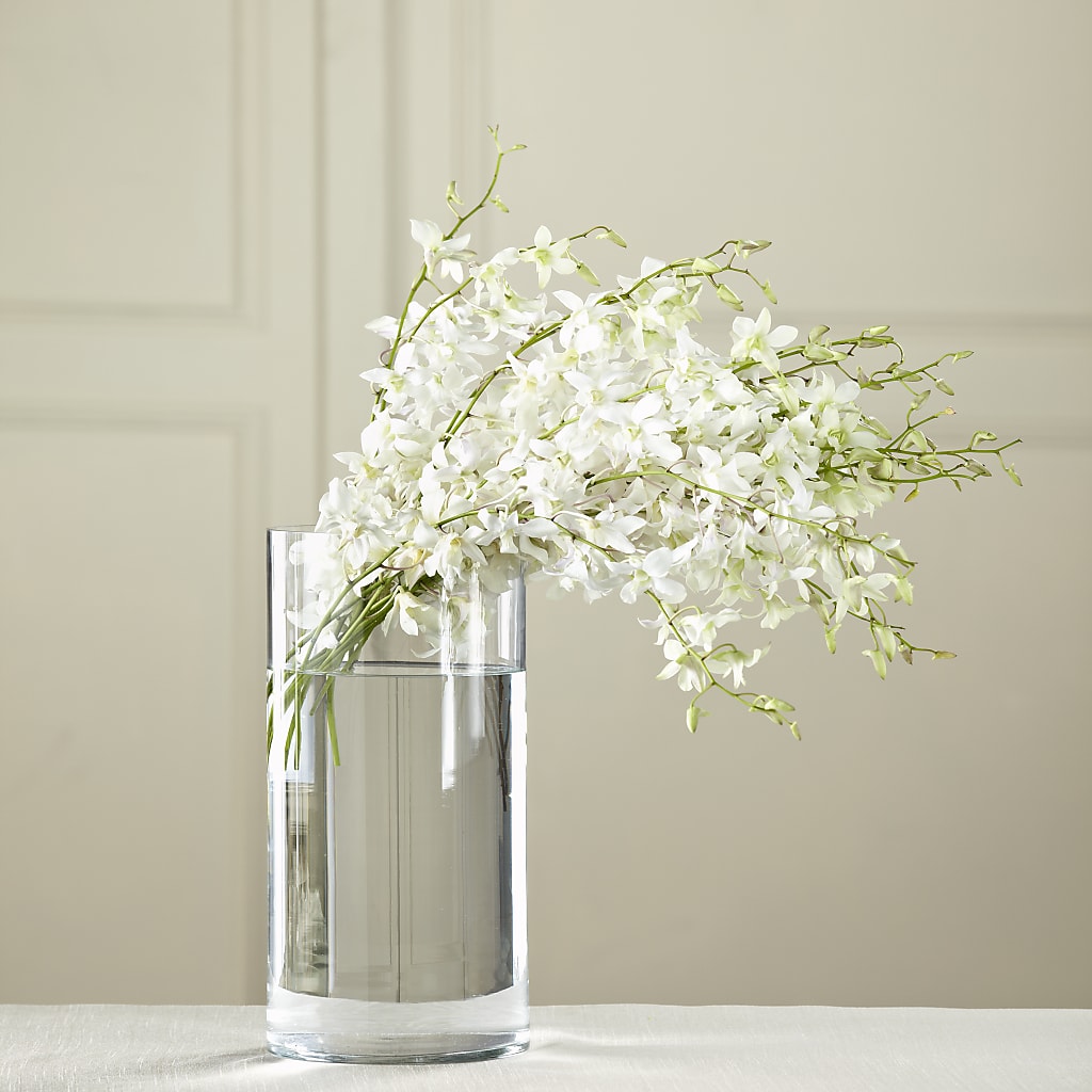 White Dendrobium Bouquet – TIM'S TREEHOUSE NURSERY & FLORAL, Sutherlin OR