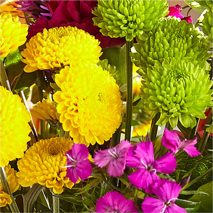 Bold & Bright – A Florist Original – TIM'S TREEHOUSE NURSERY & FLORAL, Sutherlin OR