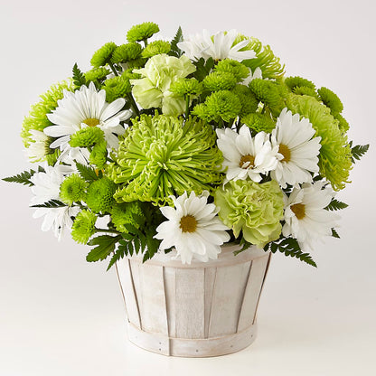 Lucky Charm Basket (Standard) – TIM'S TREEHOUSE NURSERY & FLORAL, Sutherlin OR