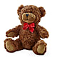 Adorable Plush Bear – TIM'S TREEHOUSE NURSERY & FLORAL, Sutherlin OR