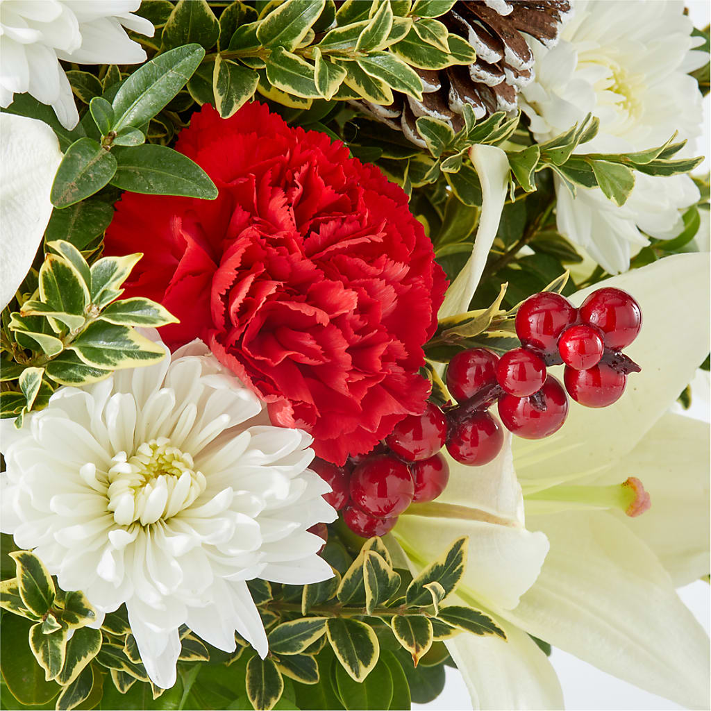 Festive Moments Tree – TIM'S TREEHOUSE NURSERY & FLORAL, Sutherlin OR