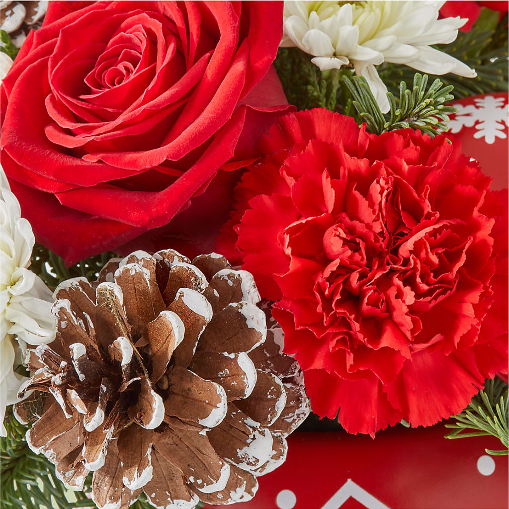 Christmas Village Ornament – TIM'S TREEHOUSE NURSERY & FLORAL, Sutherlin OR