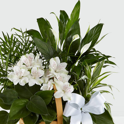 Peace & Serenity Dishgarden – TIM'S TREEHOUSE NURSERY & FLORAL, Sutherlin OR