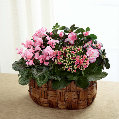 Pink Assortment – TIM'S TREEHOUSE NURSERY & FLORAL, Sutherlin OR