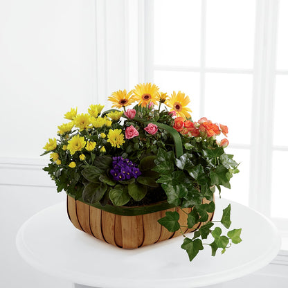 Gentle Blossoms Basket – TIM'S TREEHOUSE NURSERY & FLORAL, Sutherlin OR