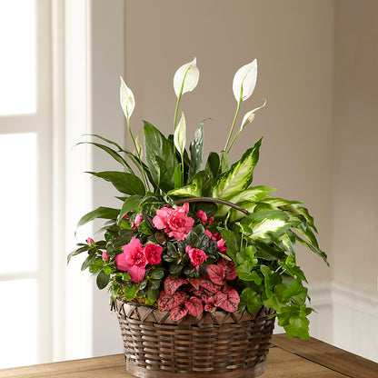 Dream in Pink Dishgarden – TIM'S TREEHOUSE NURSERY & FLORAL, Sutherlin OR