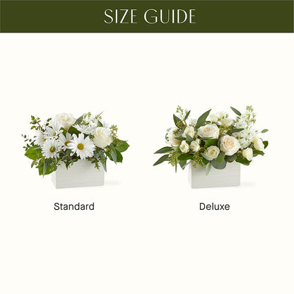 Fresh Linen Box Bouquet – TIM'S TREEHOUSE NURSERY & FLORAL, Sutherlin OR