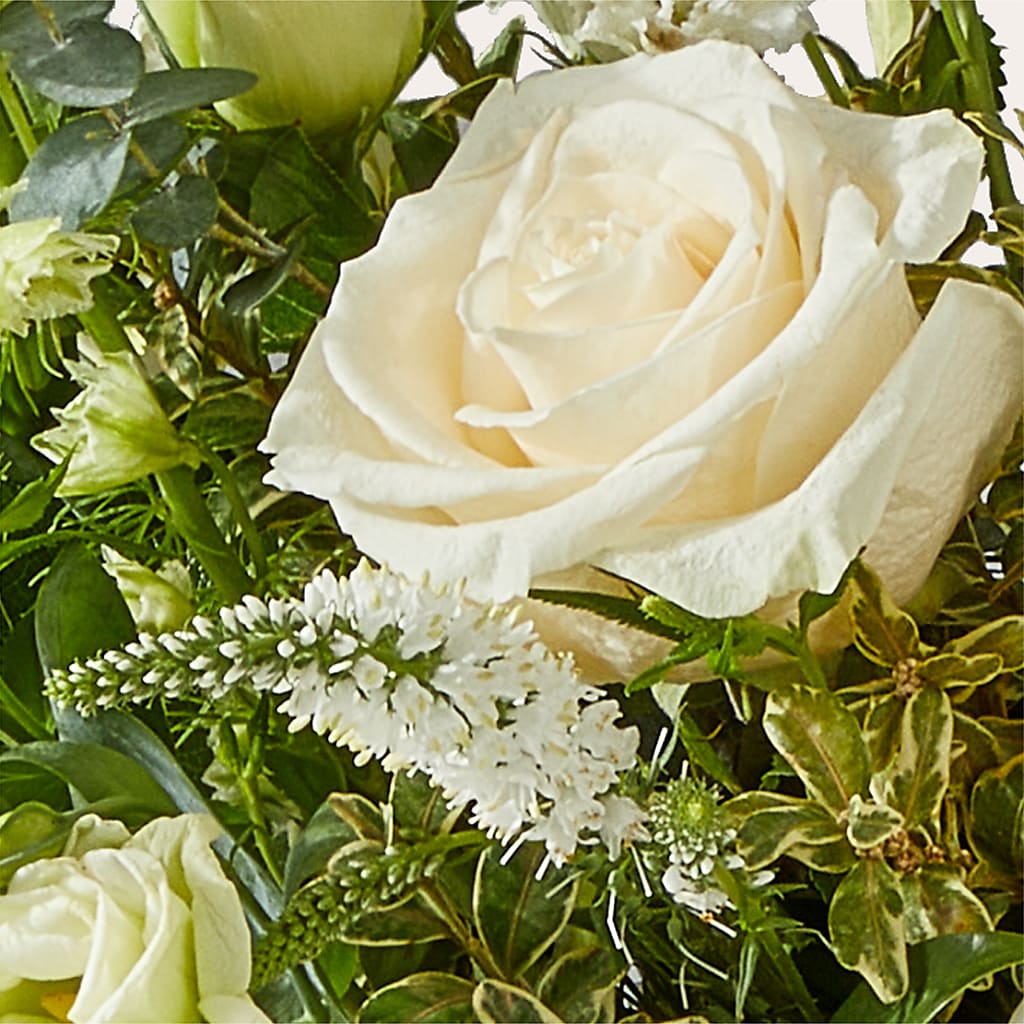 Cashmere Bouquet – TIM'S TREEHOUSE NURSERY & FLORAL, Sutherlin OR