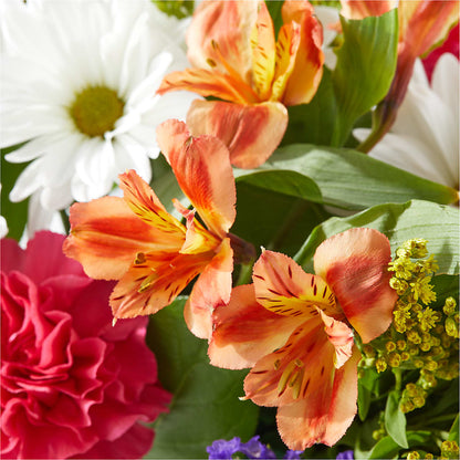 Oopsie Daisy Box Bouquet – TIM'S TREEHOUSE NURSERY & FLORAL, Sutherlin OR