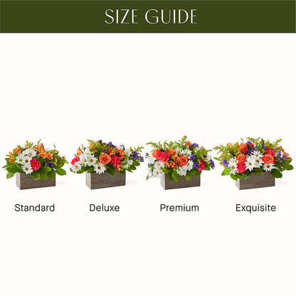 Oopsie Daisy Box Bouquet – TIM'S TREEHOUSE NURSERY & FLORAL, Sutherlin OR