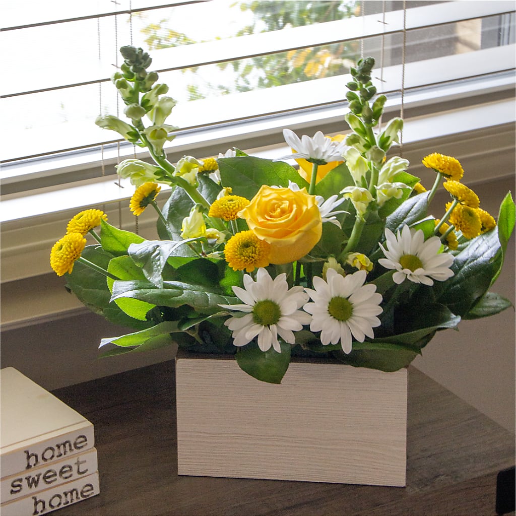 Sun Salutation Box Bouquet – TIM'S TREEHOUSE NURSERY & FLORAL, Sutherlin OR
