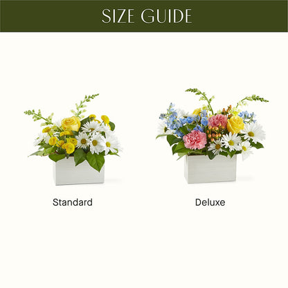 Sun Salutation Box Bouquet – TIM'S TREEHOUSE NURSERY & FLORAL, Sutherlin OR