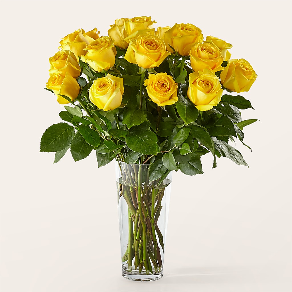 Long Stem Yellow Rose Bouquet – TIM'S TREEHOUSE NURSERY & FLORAL, Sutherlin OR