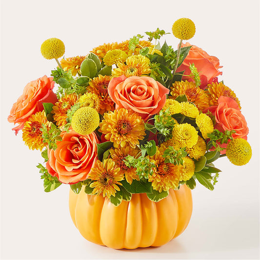 Gourdgeous Pumpkin – TIM'S TREEHOUSE NURSERY & FLORAL, Sutherlin OR