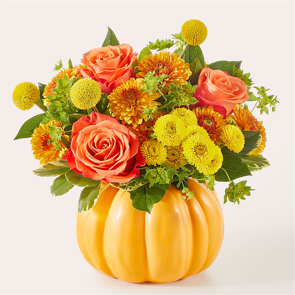 Gourdgeous Pumpkin – TIM'S TREEHOUSE NURSERY & FLORAL, Sutherlin OR