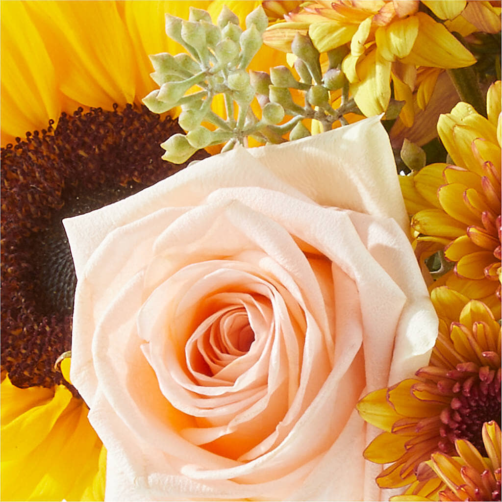 Pumpkin to Talk About Bouquet – TIM'S TREEHOUSE NURSERY & FLORAL, Sutherlin OR