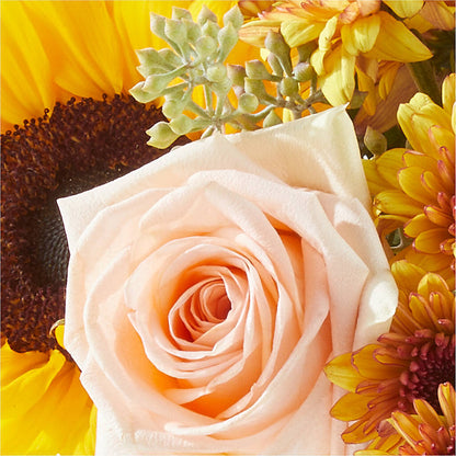 Pumpkin to Talk About Bouquet – TIM'S TREEHOUSE NURSERY & FLORAL, Sutherlin OR