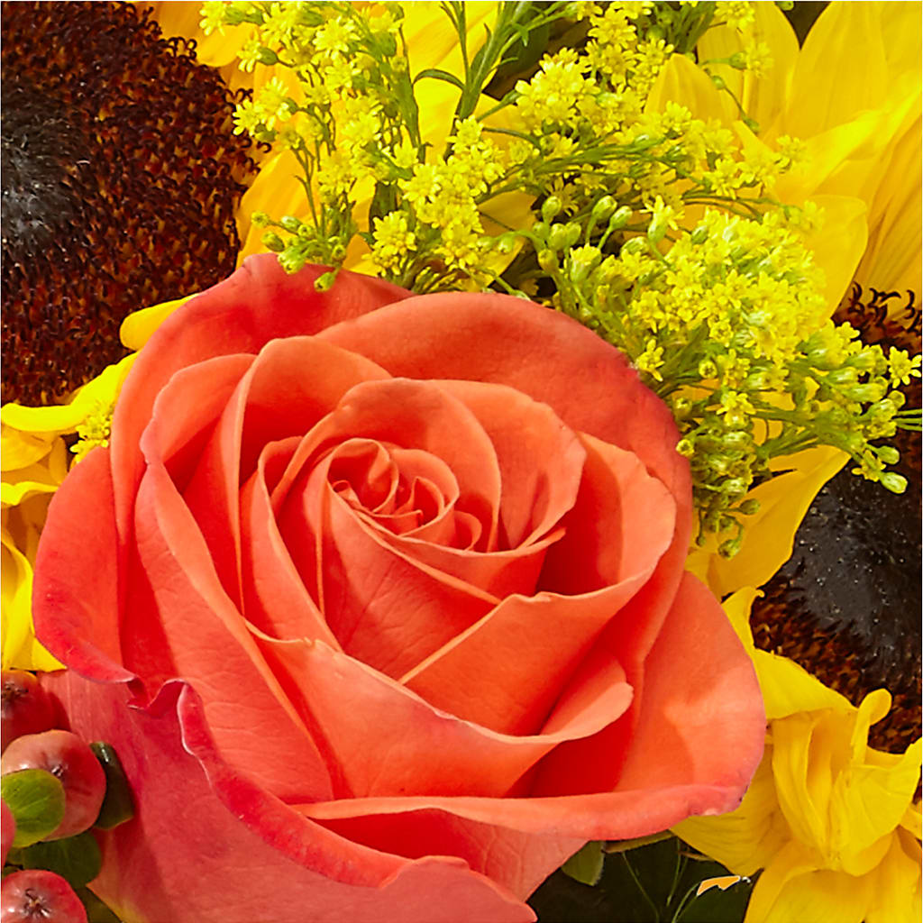 Pick of the Patch Pumpkin Bouquet – TIM'S TREEHOUSE NURSERY & FLORAL, Sutherlin OR