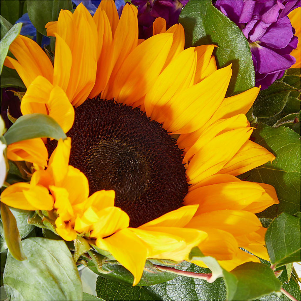 Catching Rays Bouquet – TIM'S TREEHOUSE NURSERY & FLORAL, Sutherlin OR
