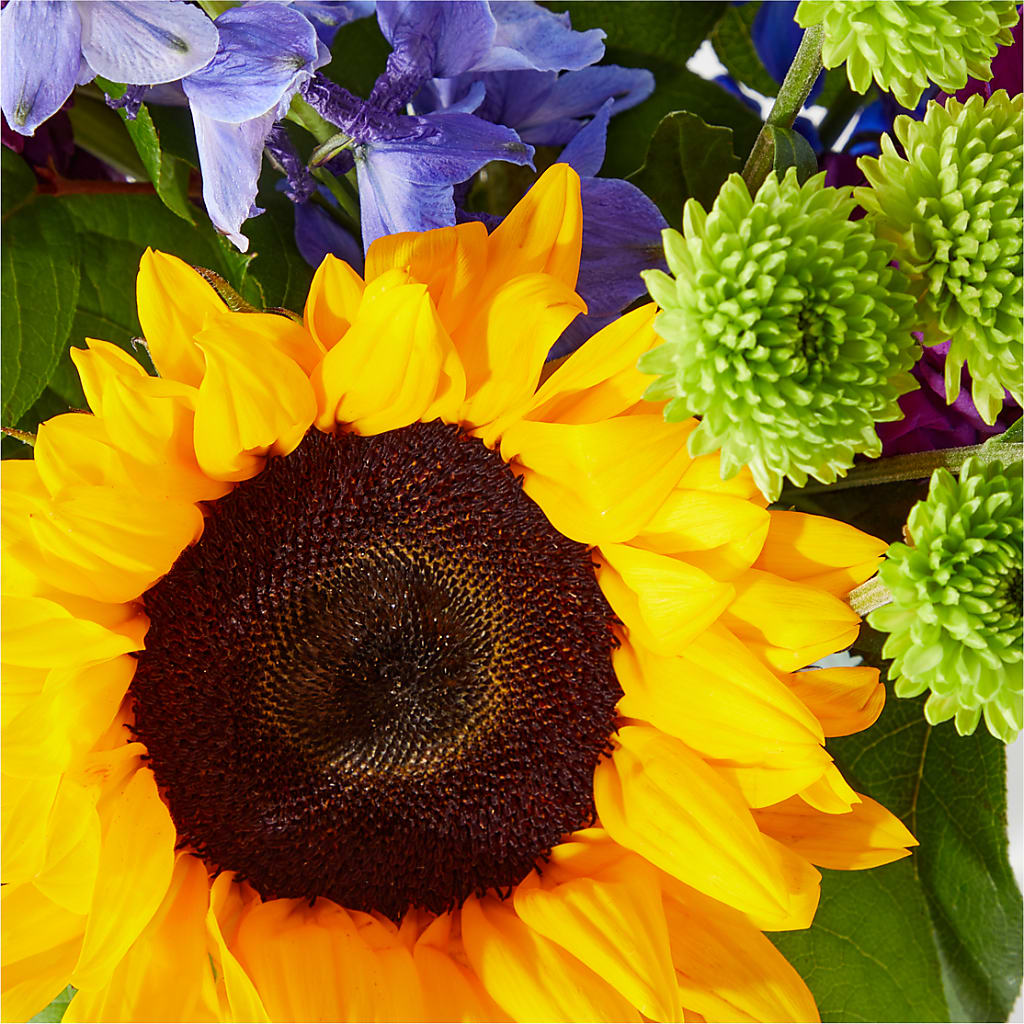Catching Rays Bouquet – TIM'S TREEHOUSE NURSERY & FLORAL, Sutherlin OR