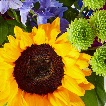 Catching Rays Bouquet – TIM'S TREEHOUSE NURSERY & FLORAL, Sutherlin OR