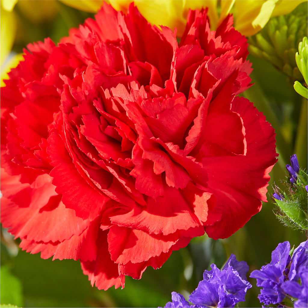 Brighter Days Bouquet – TIM'S TREEHOUSE NURSERY & FLORAL, Sutherlin OR