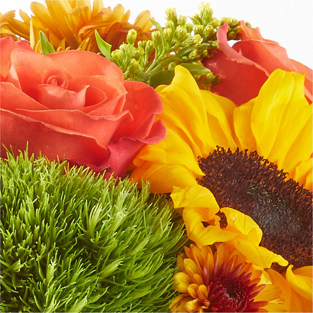 Farmer’s Market Stroll Bouquet – TIM'S TREEHOUSE NURSERY & FLORAL, Sutherlin OR