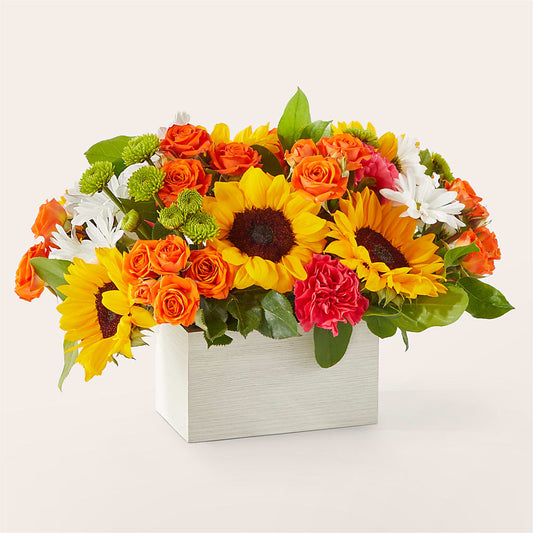 Sun-drenched Blooms Box Bouquet – TIM'S TREEHOUSE NURSERY & FLORAL, Sutherlin OR