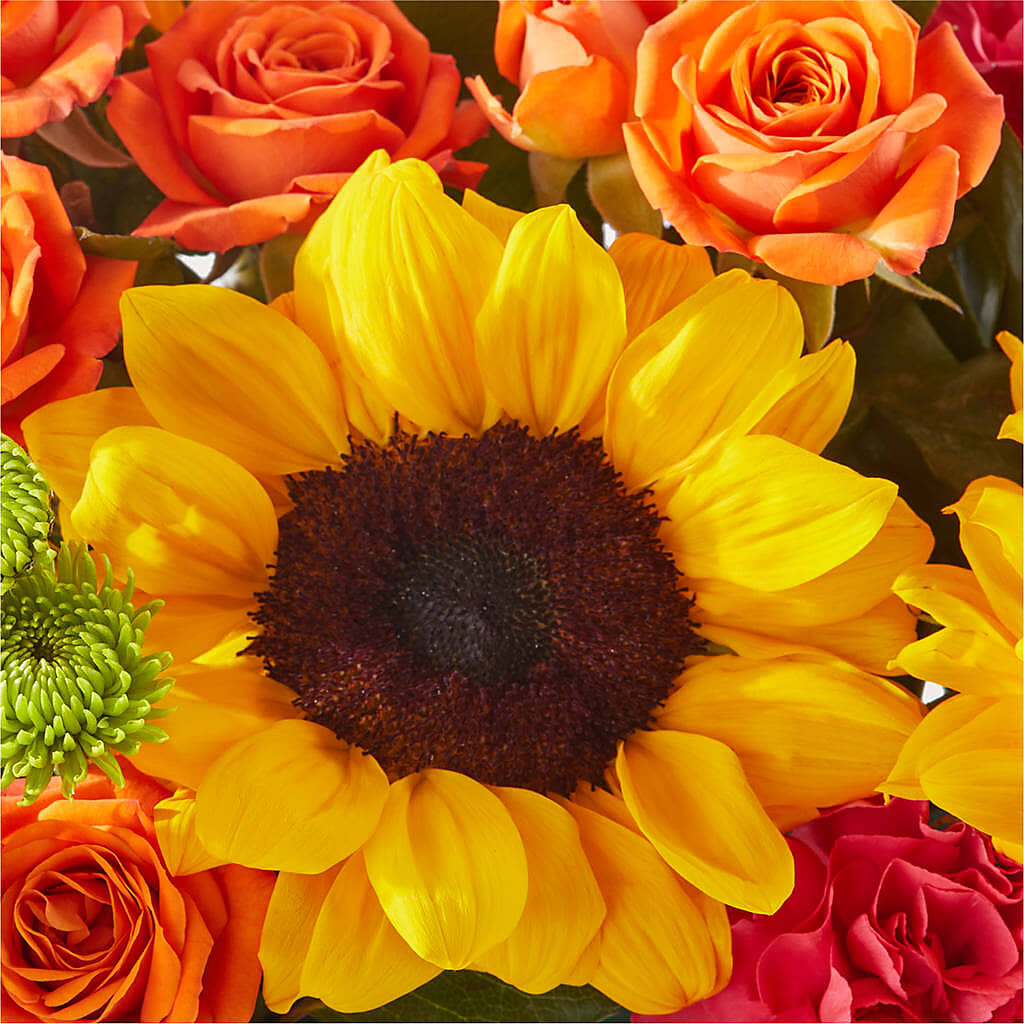 Sun-drenched Blooms Box Bouquet – TIM'S TREEHOUSE NURSERY & FLORAL, Sutherlin OR