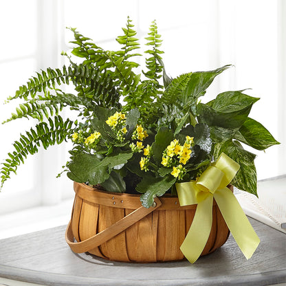 Always Dear Dishgarden – TIM'S TREEHOUSE NURSERY & FLORAL, Sutherlin OR
