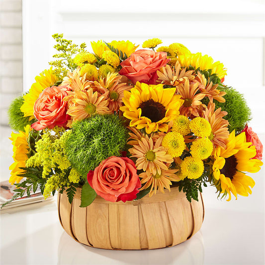 Harvest Sunflower Basket – TIM'S TREEHOUSE NURSERY & FLORAL, Sutherlin OR