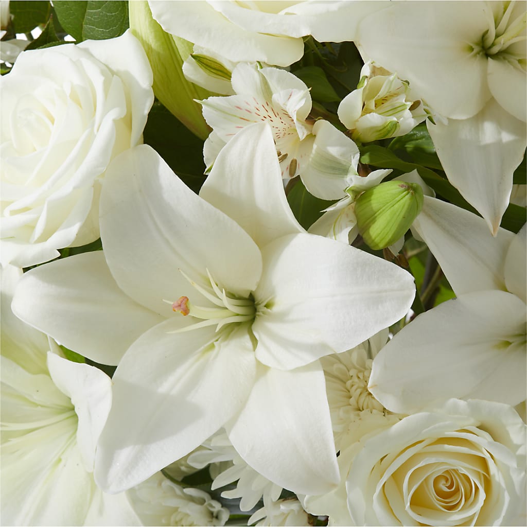 Peaceful Reflections Arrangement – TIM'S TREEHOUSE NURSERY & FLORAL, Sutherlin OR