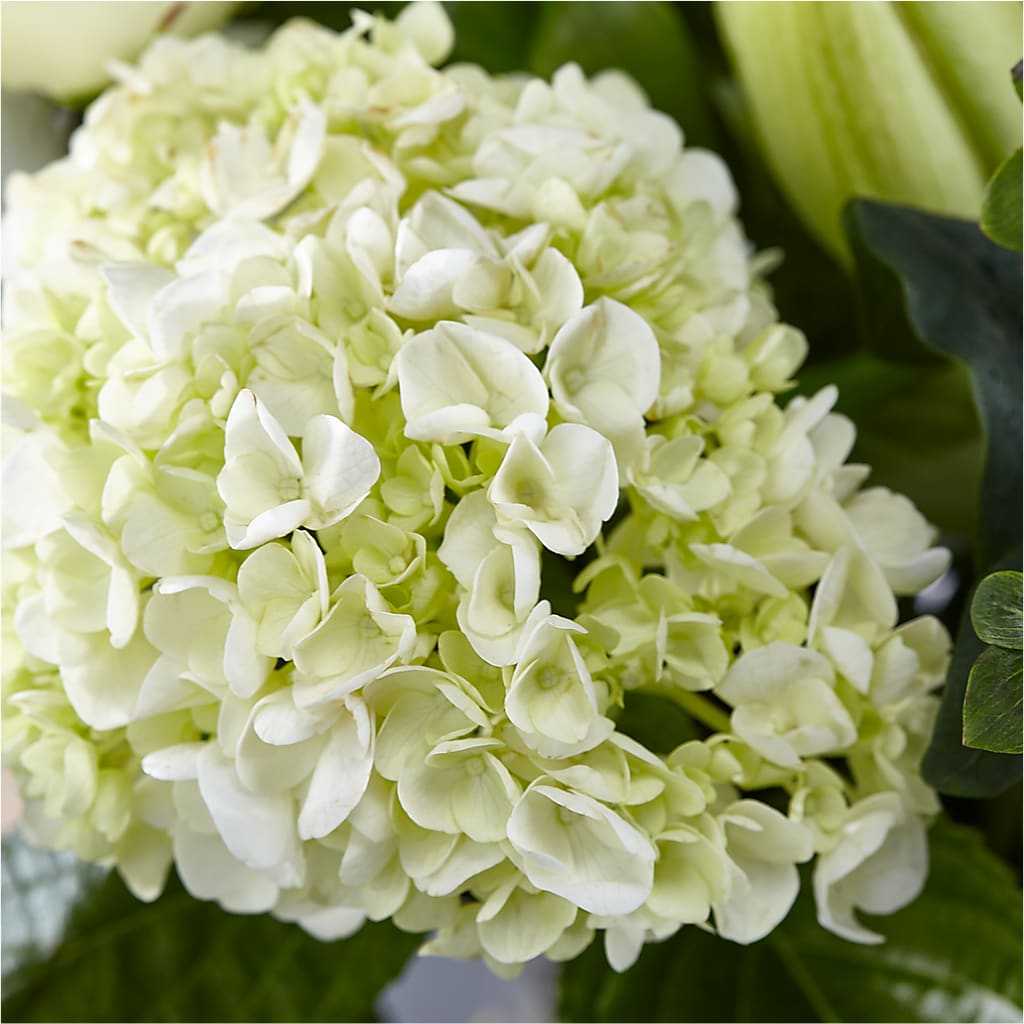 Classic Ivory – A Florist Original – TIM'S TREEHOUSE NURSERY & FLORAL, Sutherlin OR